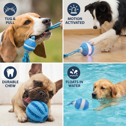 Durable Dog Play Ball with Motion Sensor and Tug Rope in Dog Colors