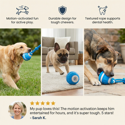 Durable Dog Play Ball with Motion Sensor and Tug Rope in Dog Colors