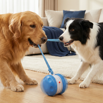 Interactive & Durable Dog Ball – Movement Toy with Tug Rope in Dog Colors