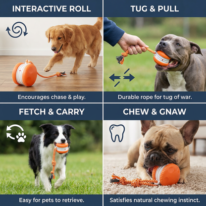 Interactive & Durable Dog Ball – Movement Toy with Tug Rope in Dog Colors