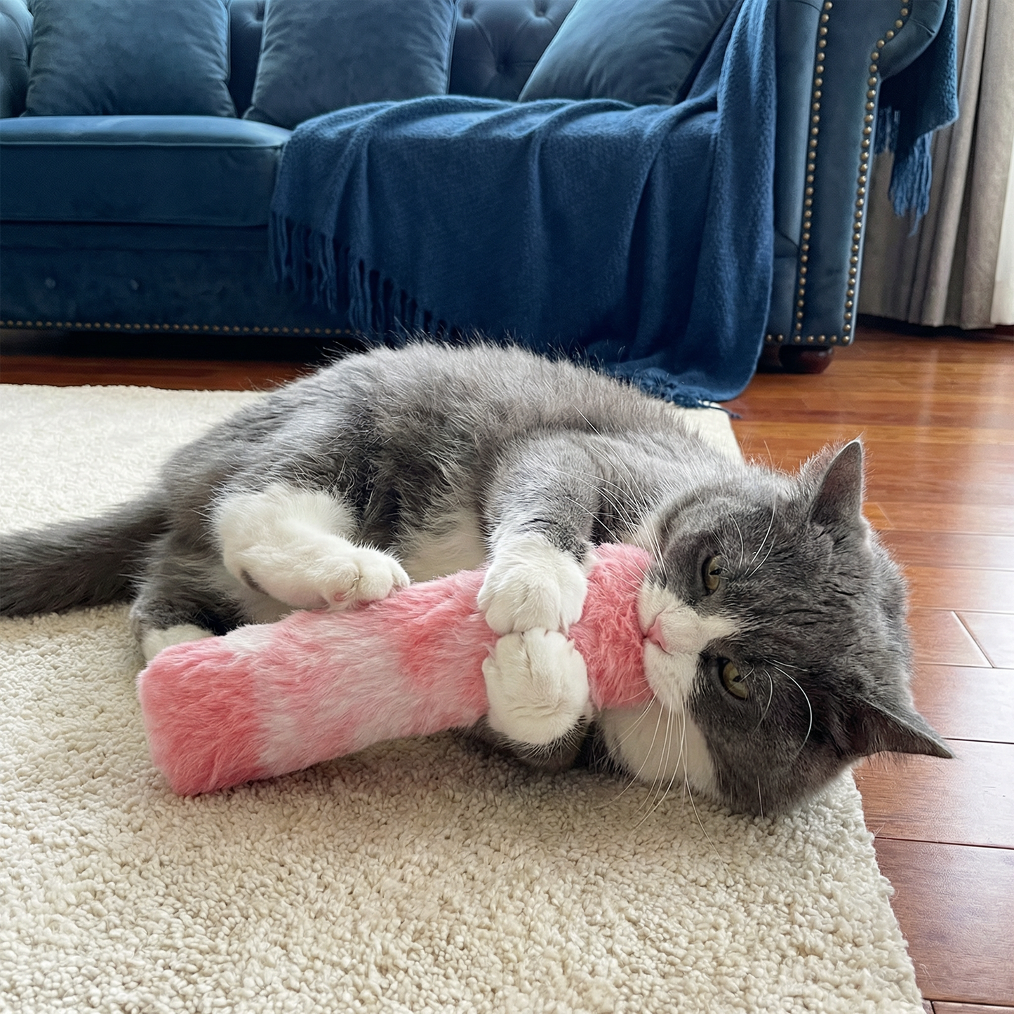 Catnip Cushion Toy