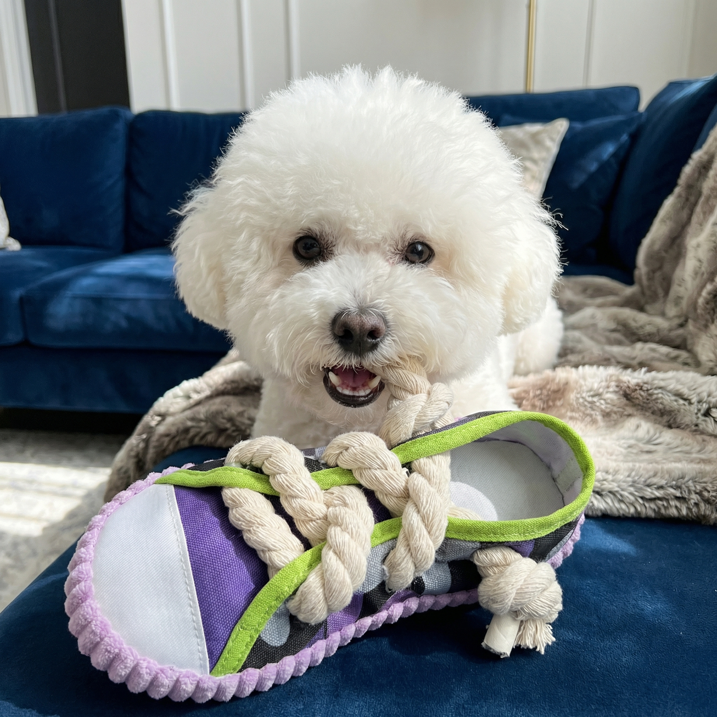 Squeaking Slipper with Durable Cotton Rope – Dental Care and Play for Dogs