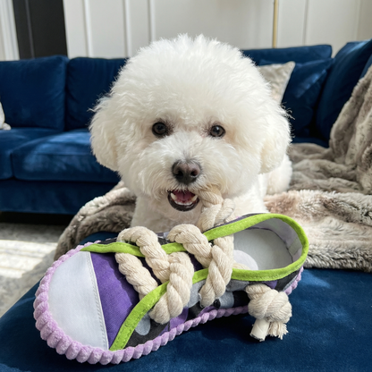 Squeaking Slipper with Durable Cotton Rope – Dental Care and Play for Dogs
