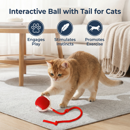 Interactive Ball with Tail for Cats