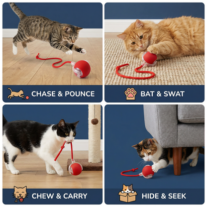 Interactive Ball with Tail for Cats