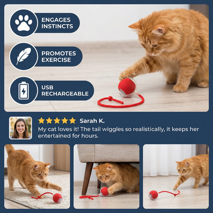 Interactive Ball with Tail for Cats