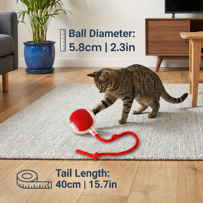 Interactive Ball with Tail for Cats