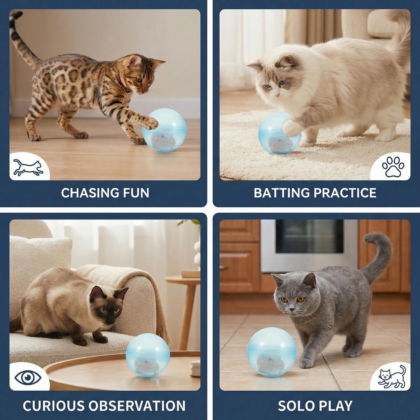Rolling Hamster