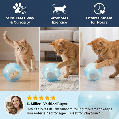 Rolling Hamster