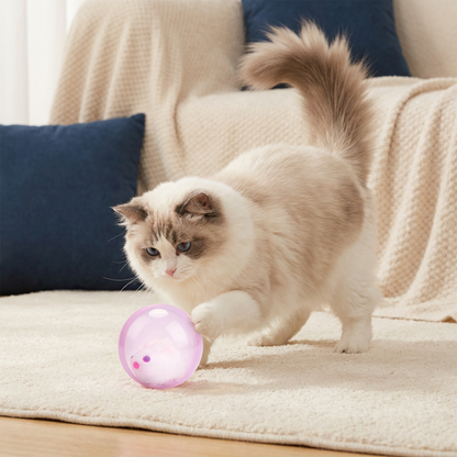Rolling Hamster